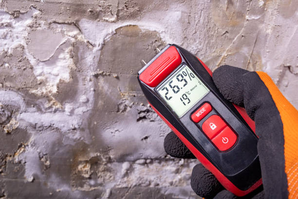 Best Best Mold Removal Companies  in Towamensing Trails, PA